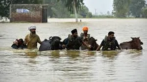 Punjab Floods 2025- What’s Going On in Punjab